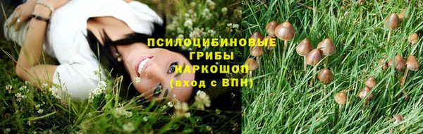 сатива Верхнеуральск