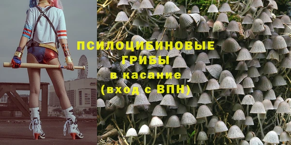 2c-b Саяногорск